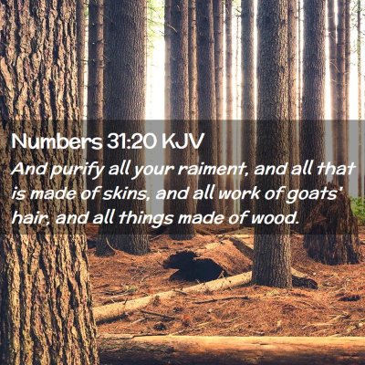 Picture 02 - Numbers 31:20 KJV - And purify all your raiment, and all that is made - Bible Verse Picture