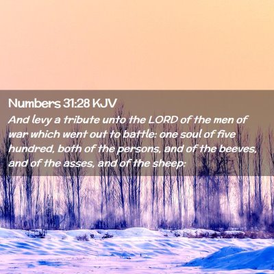Picture 02 - Numbers 31:28 KJV - And levy a tribute unto the LORD of the men of - Bible Verse Picture