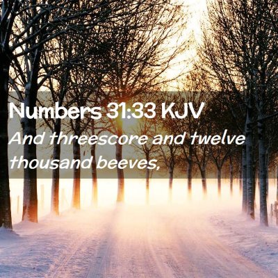Picture 02 - Numbers 31:33 KJV - And threescore and twelve thousand - Bible Verse Picture