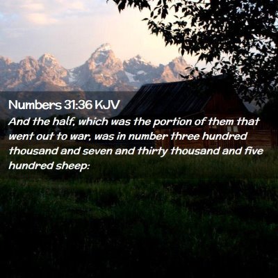 Picture 02 - Numbers 31:36 KJV - And the half, which was the portion of them that - Bible Verse Picture