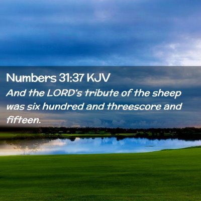 Picture 02 - Numbers 31:37 KJV - And the LORD's tribute of the sheep was six - Bible Verse Picture