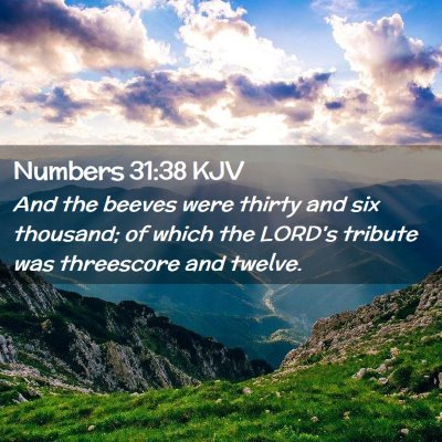 Picture 02 - Numbers 31:38 KJV - And the beeves were thirty and six thousand; of - Bible Verse Picture