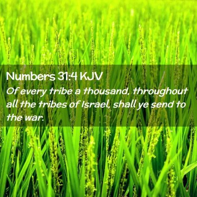 Picture 02 - Numbers 31:4 KJV - Of every tribe a thousand, throughout all the - Bible Verse Picture