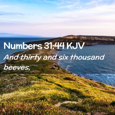 Picture 02 - Numbers 31:44 KJV - And thirty and six thousand - Bible Verse Picture