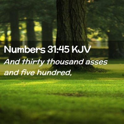 Picture 02 - Numbers 31:45 KJV - And thirty thousand asses and five - Bible Verse Picture