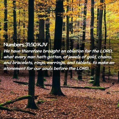 Picture 02 - Numbers 31:50 KJV - We have therefore brought an oblation for the - Bible Verse Picture