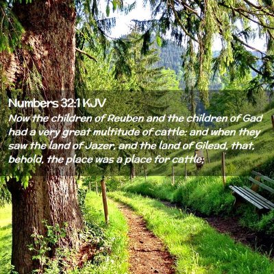Picture 02 - Numbers 32:1 KJV - Now the children of Reuben and the children of - Bible Verse Picture
