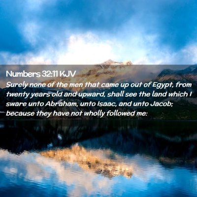Picture 02 - Numbers 32:11 KJV - Surely none of the men that came up out of Egypt, - Bible Verse Picture