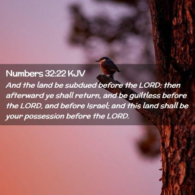 Picture 02 - Numbers 32:22 KJV - And the land be subdued before the LORD: then - Bible Verse Picture