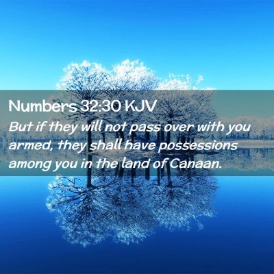 Picture 02 - Numbers 32:30 KJV - But if they will not pass over with you armed, - Bible Verse Picture