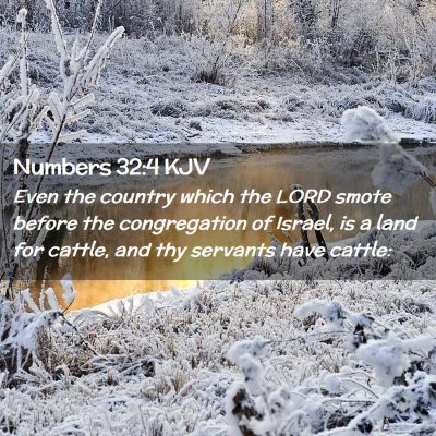 Picture 02 - Numbers 32:4 KJV - Even the country which the LORD smote before the - Bible Verse Picture