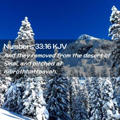 Picture 02 - Numbers 33:16 KJV - And they removed from the desert of Sinai, and - Bible Verse Picture