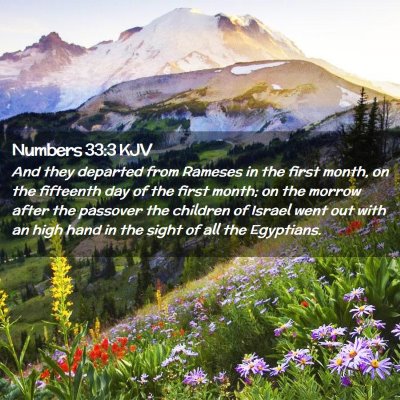 Picture 02 - Numbers 33:3 KJV - And they departed from Rameses in the first - Bible Verse Picture