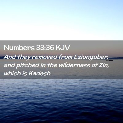 Picture 02 - Numbers 33:36 KJV - And they removed from Eziongaber, and pitched in - Bible Verse Picture