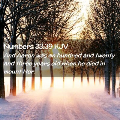 Picture 02 - Numbers 33:39 KJV - And Aaron was an hundred and twenty and three - Bible Verse Picture