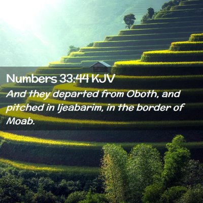 Picture 02 - Numbers 33:44 KJV - And they departed from Oboth, and pitched in - Bible Verse Picture