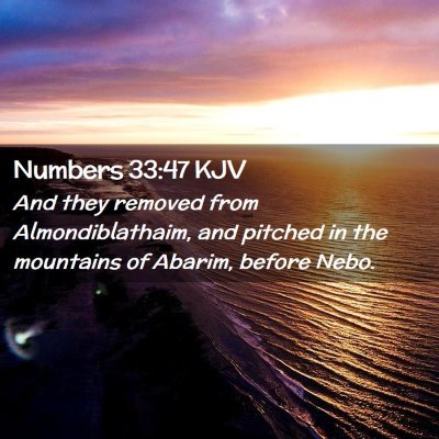 Picture 02 - Numbers 33:47 KJV - And they removed from Almondiblathaim, and - Bible Verse Picture