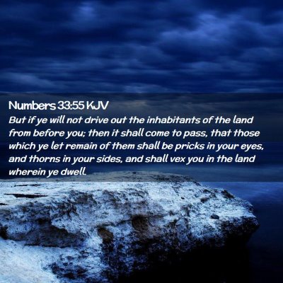 Picture 02 - Numbers 33:55 KJV - But if ye will not drive out the inhabitants of - Bible Verse Picture