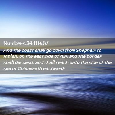 Picture 02 - Numbers 34:11 KJV - And the coast shall go down from Shepham to - Bible Verse Picture