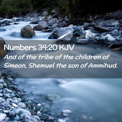 Picture 02 - Numbers 34:20 KJV - And of the tribe of the children of Simeon, - Bible Verse Picture