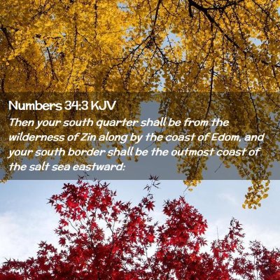 Picture 02 - Numbers 34:3 KJV - Then your south quarter shall be from the - Bible Verse Picture