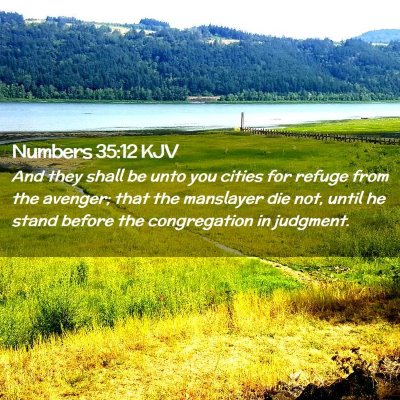 Picture 02 - Numbers 35:12 KJV - And they shall be unto you cities for refuge from - Bible Verse Picture
