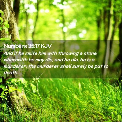 Picture 02 - Numbers 35:17 KJV - And if he smite him with throwing a stone, - Bible Verse Picture