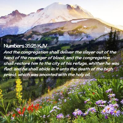 Picture 02 - Numbers 35:25 KJV - And the congregation shall deliver the slayer out - Bible Verse Picture