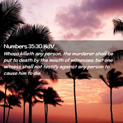 Picture 02 - Numbers 35:30 KJV - Whoso killeth any person, the murderer shall be - Bible Verse Picture