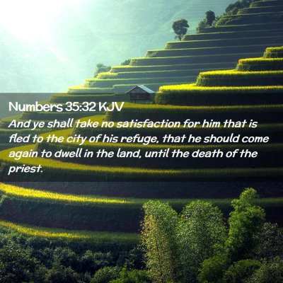 Picture 02 - Numbers 35:32 KJV - And ye shall take no satisfaction for him that is - Bible Verse Picture