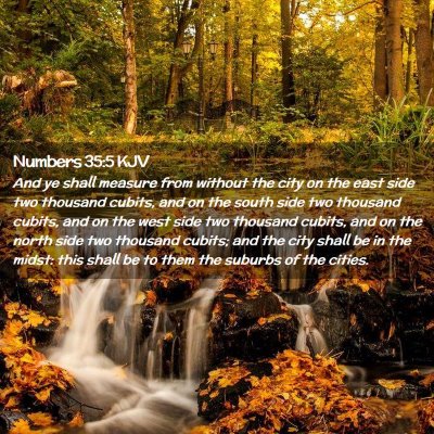 Picture 02 - Numbers 35:5 KJV - And ye shall measure from without the city on the - Bible Verse Picture