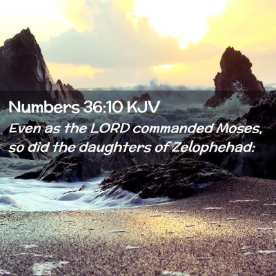 Picture 02 - Numbers 36:10 KJV - Even as the LORD commanded Moses, so did the - Bible Verse Picture