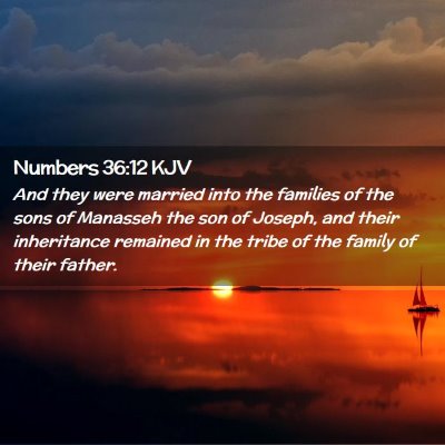 Picture 02 - Numbers 36:12 KJV - And they were married into the families of the - Bible Verse Picture
