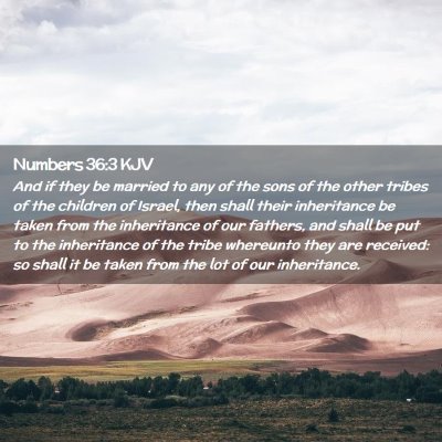 Picture 02 - Numbers 36:3 KJV - And if they be married to any of the sons of the - Bible Verse Picture