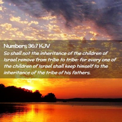 Picture 02 - Numbers 36:7 KJV - So shall not the inheritance of the children of - Bible Verse Picture