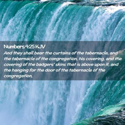 Picture 02 - Numbers 4:25 KJV - And they shall bear the curtains of the - Bible Verse Picture