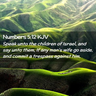 Picture 02 - Numbers 5:12 KJV - Speak unto the children of Israel, and say unto - Bible Verse Picture