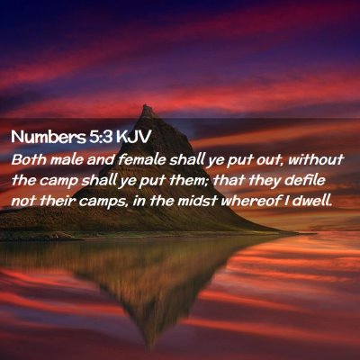 Picture 02 - Numbers 5:3 KJV - Both male and female shall ye put out, without - Bible Verse Picture