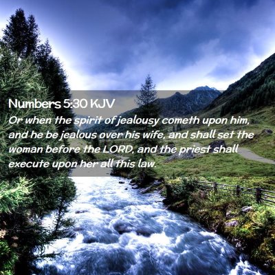 Picture 02 - Numbers 5:30 KJV - Or when the spirit of jealousy cometh upon him, - Bible Verse Picture