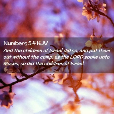 Picture 02 - Numbers 5:4 KJV - And the children of Israel did so, and put them - Bible Verse Picture
