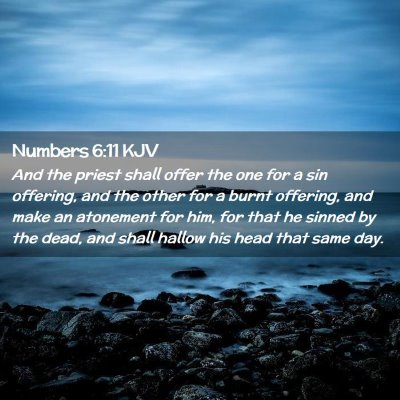 Picture 02 - Numbers 6:11 KJV - And the priest shall offer the one for a sin - Bible Verse Picture
