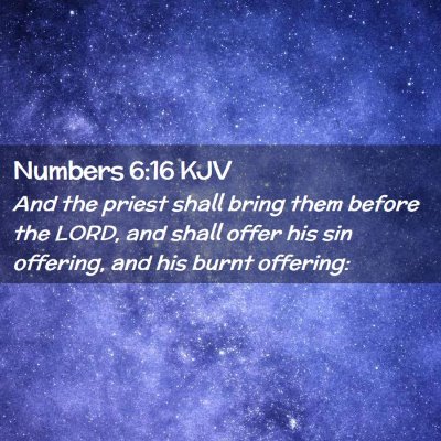 Picture 02 - Numbers 6:16 KJV - And the priest shall bring them before the LORD, - Bible Verse Picture