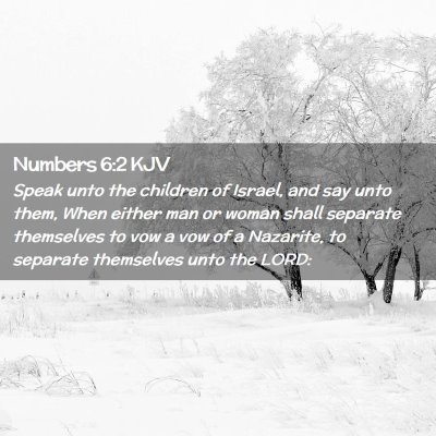 Picture 02 - Numbers 6:2 KJV - Speak unto the children of Israel, and say unto - Bible Verse Picture