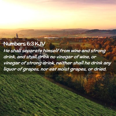 Picture 02 - Numbers 6:3 KJV - He shall separate himself from wine and strong - Bible Verse Picture