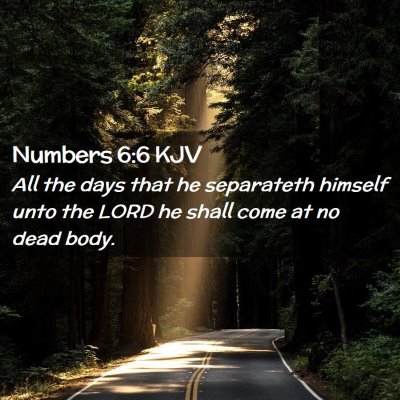 Picture 02 - Numbers 6:6 KJV - All the days that he separateth himself unto the - Bible Verse Picture