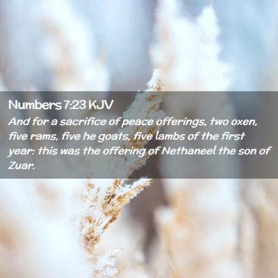Picture 02 - Numbers 7:23 KJV - And for a sacrifice of peace offerings, two oxen, - Bible Verse Picture