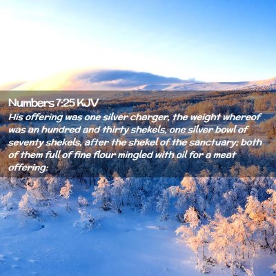 Picture 02 - Numbers 7:25 KJV - His offering was one silver charger, the weight - Bible Verse Picture