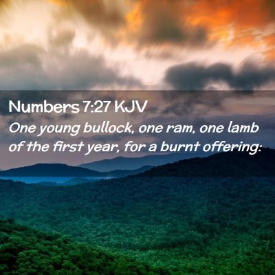 Picture 02 - Numbers 7:27 KJV - One young bullock, one ram, one lamb of the first - Bible Verse Picture