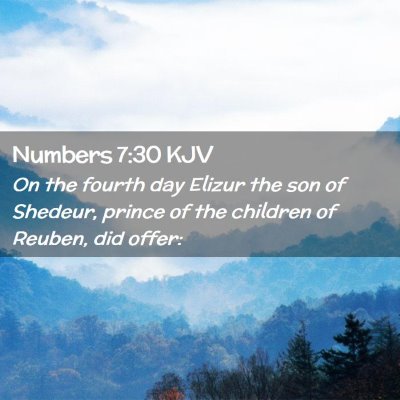 Picture 02 - Numbers 7:30 KJV - On the fourth day Elizur the son of Shedeur, - Bible Verse Picture