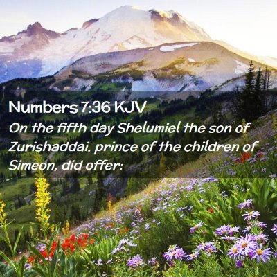 Picture 02 - Numbers 7:36 KJV - On the fifth day Shelumiel the son of - Bible Verse Picture